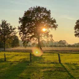 Закат в Хемзене.