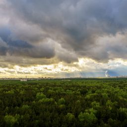 Вид из окна, солнечные лучи.